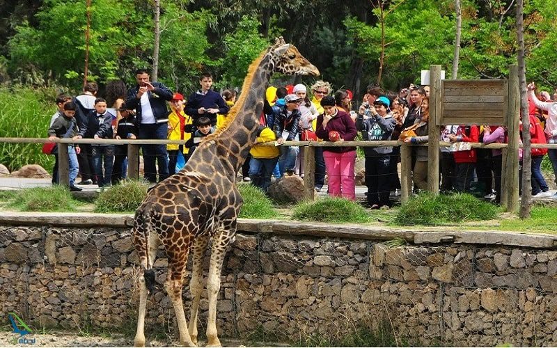 جاذبه ی زیبای باغ وحش آنتالیا مناسب برای تفریح کودکان