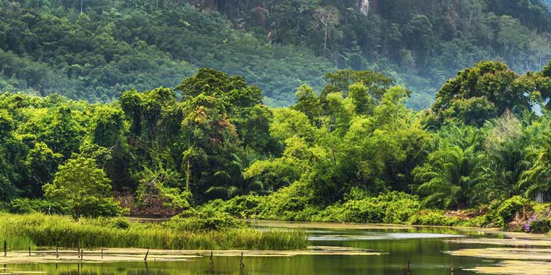 معرفی جاذبه های دیدنی پارک ملی کاویای تایلند