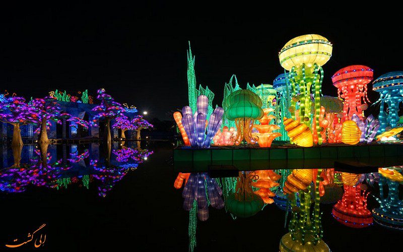 پارک گاردن گلو دبی بزرگ ترین باغ نور دنیا