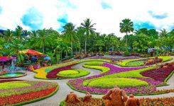 معرفی جاذبه ی رنگارنگ باغ گیاه شناسی نانگ نوچ پاتایا کشور تایلند