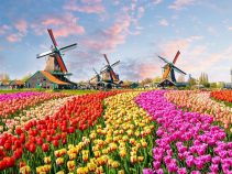 مناسب ترین زمان سفر به هلند کدام فصل از سال است؟
