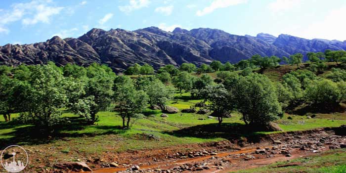 منطقه ی دیدنی و طبیعت زیبای کوه پیر محمد شاهین دژ