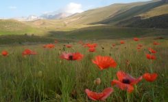 طبیعت زیبا و بکر رشته كوه خروسلو (خروسلو داغ) استان اردبیل