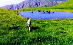 معرفی جاذبه ی فوق زیبای دریاچه (برکه) قالغانلو