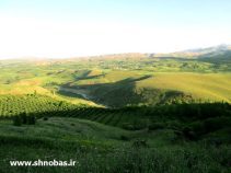 معرفی منطقه ی گردشگری و دنج روستای بیمضرته