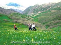منطقه نمونه گردشگری چیچکلو طبیعت زیبای ایران