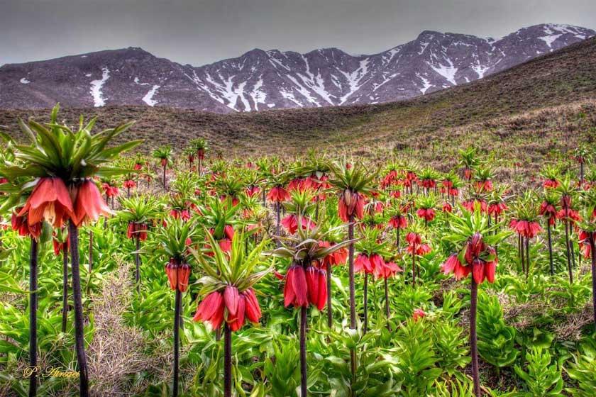 فهرست بهترین و زیباترین شهرهای ایران برای سفر در فصل بهار
