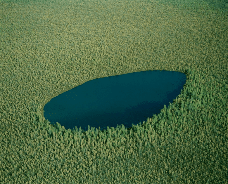 دریاچه جنگلی، روسیه
