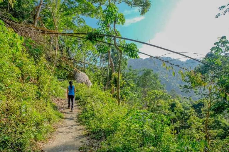 جاذبه گردشگری تپه پنانگ در مالزی