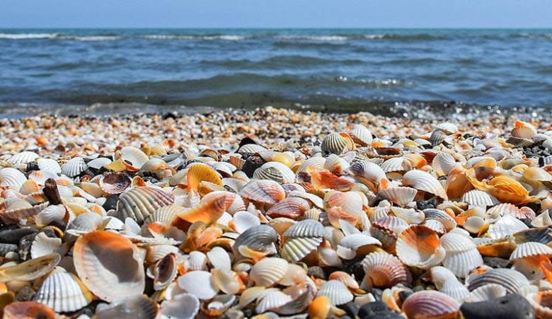 بهترین ساحل انزلی برای شنا کدام است؟