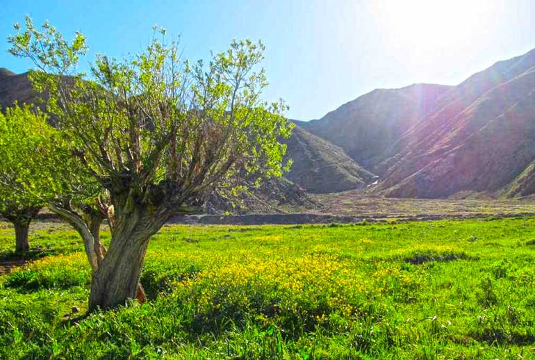 مسیر دسترسی دشت هویج