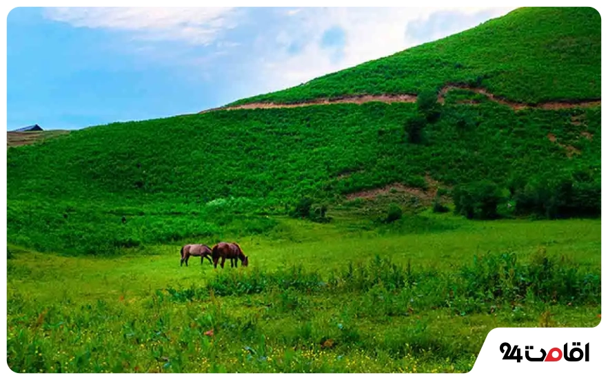 دشت هویج لواسان