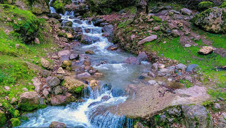 بقعه امامزاده ابراهیم دشت النزه