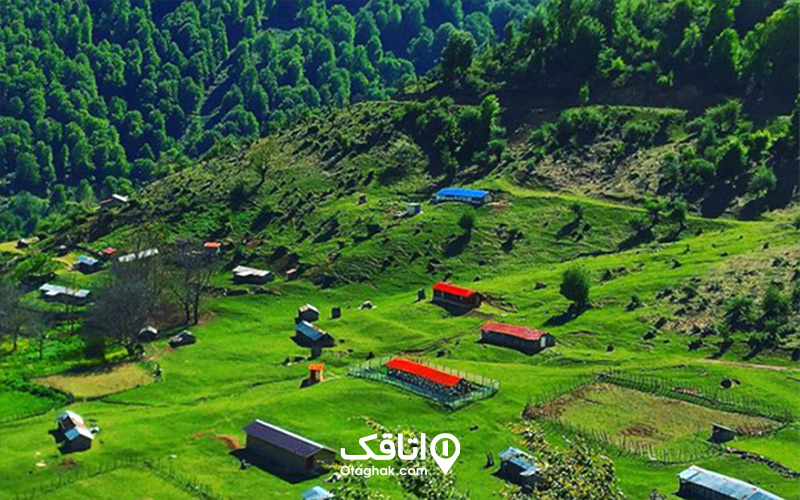 بهار در دشت النزه