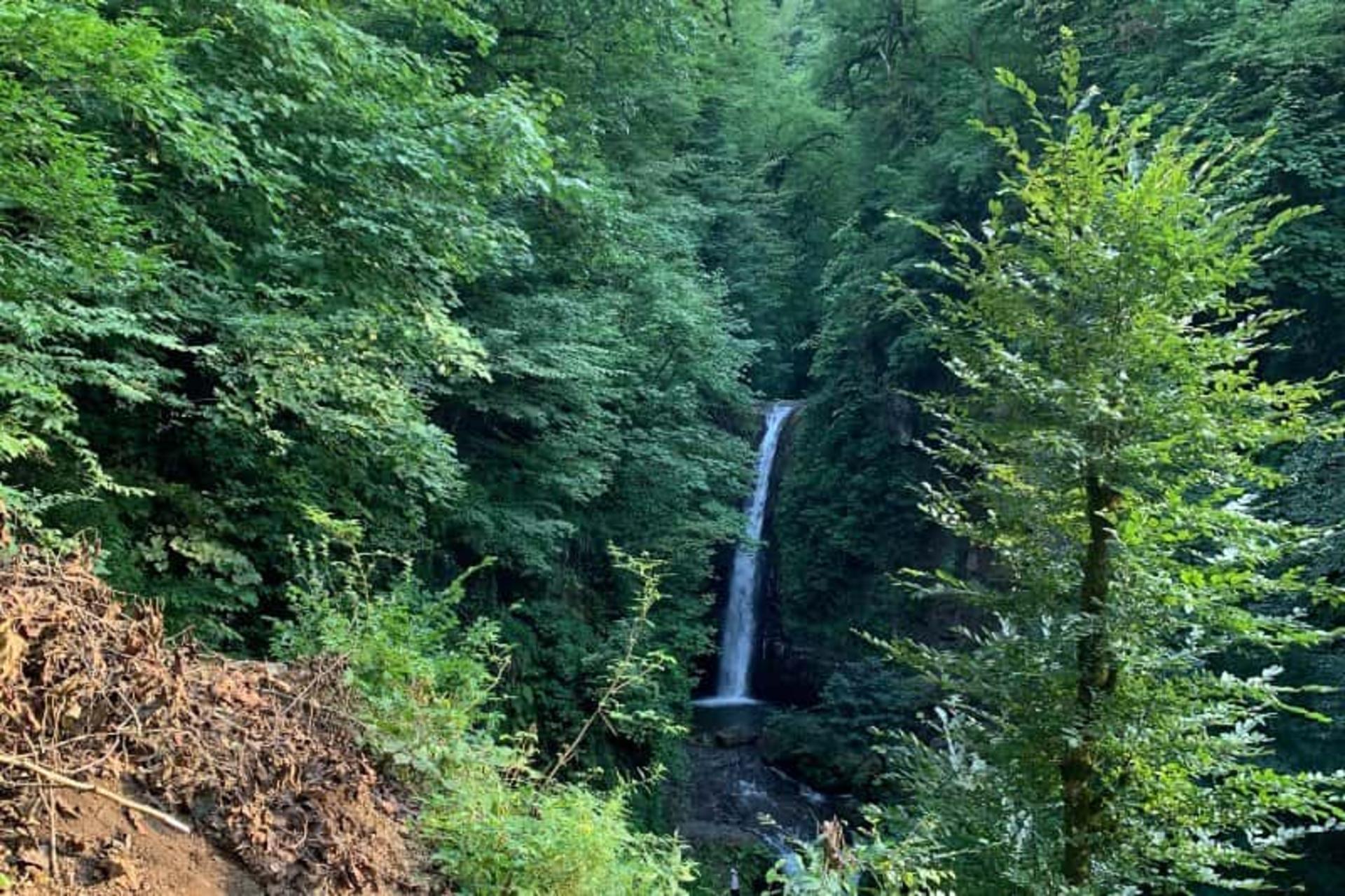 مسیر جنگلی دسترسی به آبشار زمرد حویق