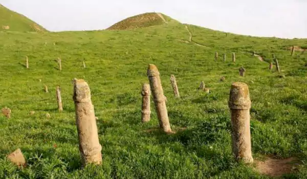 بهار سرسبز در خالد نبی