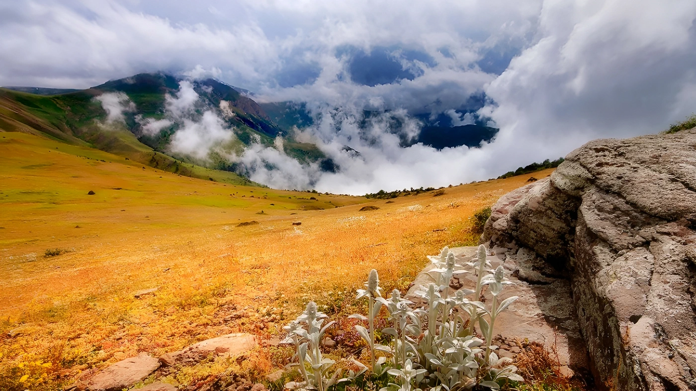 سرسبزی بی نظیر ییلاقات مازیچال در تابستان