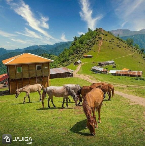 پدیده شگفت‌انگیز اقیانوس ابر در اولسبلنگاه ماسال