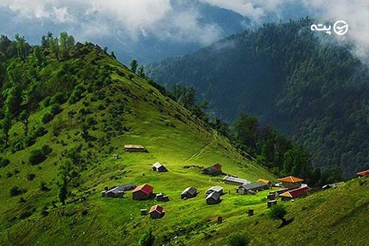 چرای اسب‌های وحشی در دشت‌های سبز اولسبلنگاه