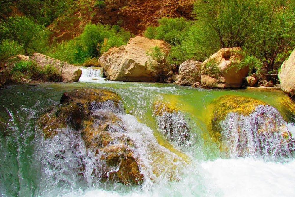 پوشش گیاهی و طبیعت بکر اطراف تنگه دم اسب