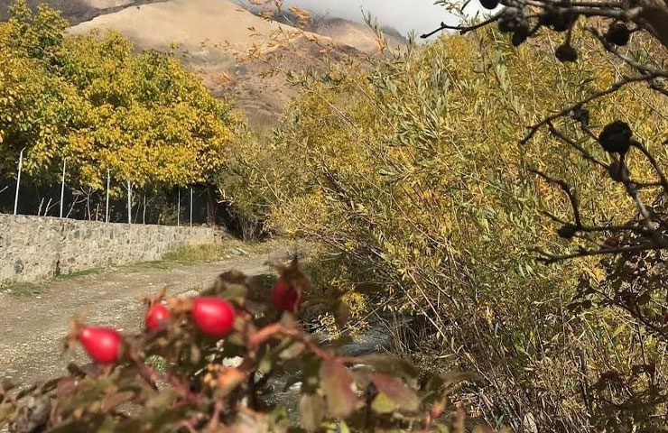 طبیعت سرسبز دره آبنیک در مسیر دشت جانستون