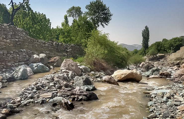 کوچهباغهای قدیمی و سنگفرش شده روستای افجه با دیوارهای سنگی و درختان گیلاس