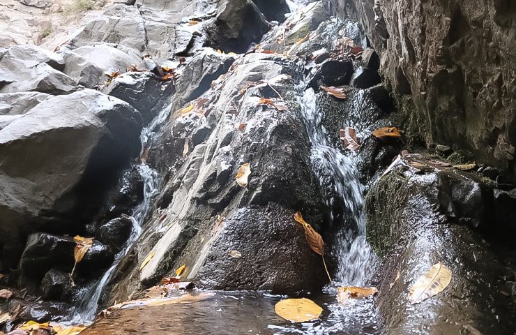 جریان خروشان آبشار پسچویک در میان درختان بلند و صخرههای کوهستانی افجه