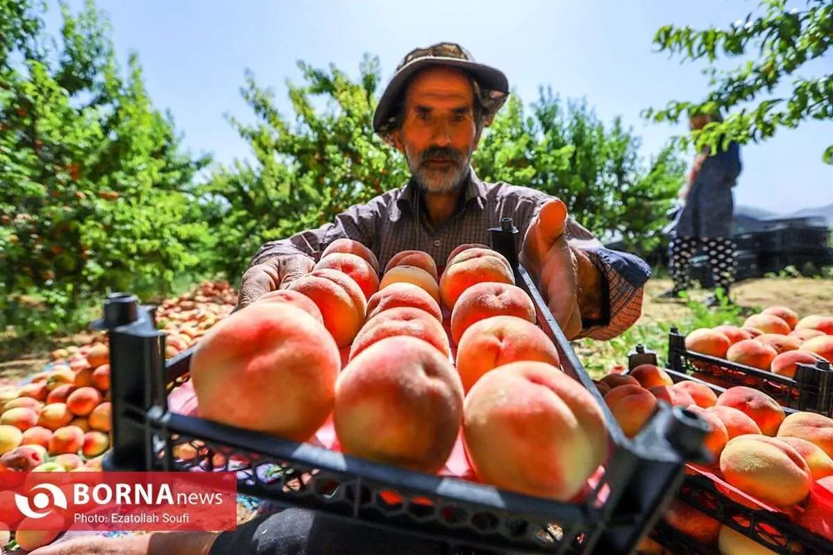 طبیعت ییلاقی اطراف علیشاه