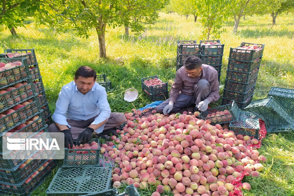 غروب زیبای دشت علیشاه