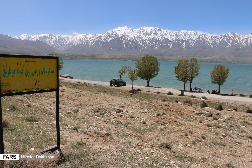 پوشش گیاهی سرسبز و چمنزارهای پهناور حاشیه تالاب چغاخور در فصل بهار