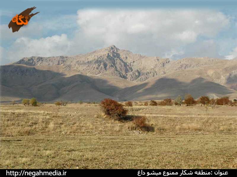 طبیعت کوهستانی میشو داغ شبستر