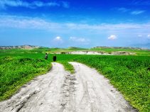 طبیعت بهاری و دشت‌های سرسبز هزارکانیان کردستان