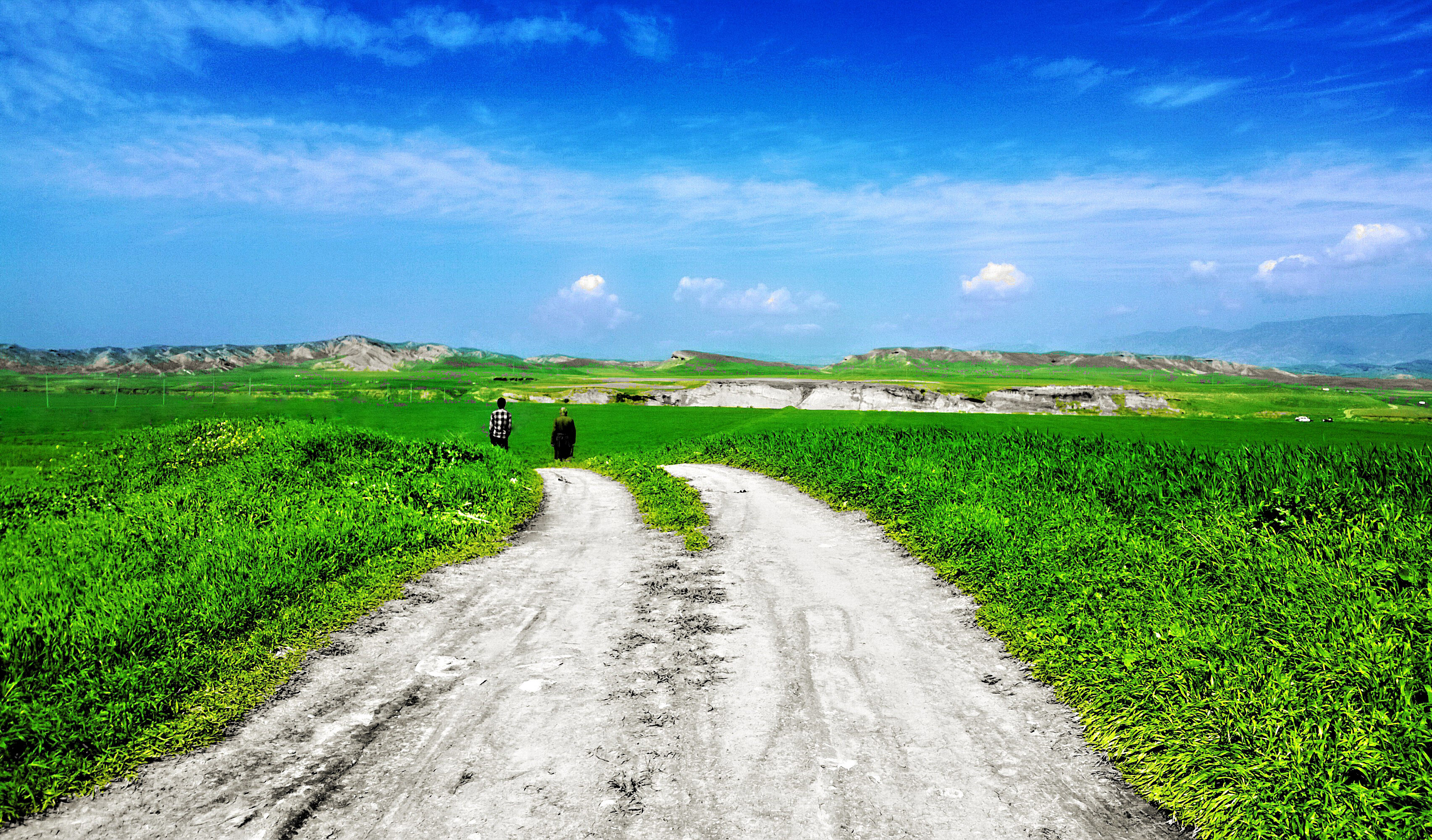 طبیعت بهاری و دشت‌های سرسبز هزارکانیان کردستان