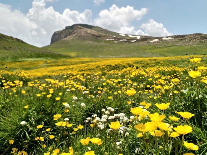 نمای صخره‌ها و یخچال‌های طبیعی ییلاق لپاسر