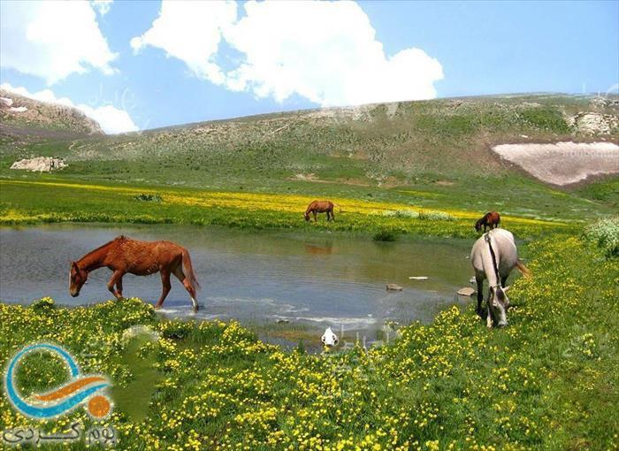 کوهستان‌های مرتفع و دشت‌های سنگی سماموس در نزدیکی لپاسر