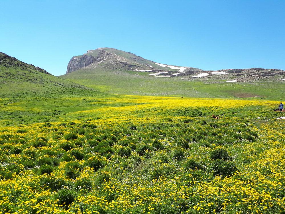 دره سرسبز و زیبای ییلاق لپاسر در میان کوهستان البرز