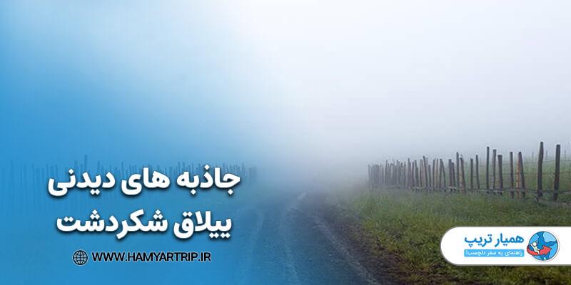 گوسفندان در حال چرا در ییلاقات شکردشت