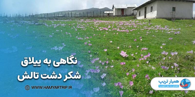 کمپینگ و چادرهای رنگارنگ در دشت‌های شکردشت