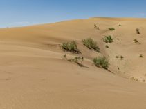 کویر ورزنه اصفهان رمل های شنی