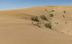 کویر ورزنه اصفهان رمل های شنی
