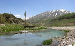 نمای کوهستان و تنگه پلور در جاده هراز
