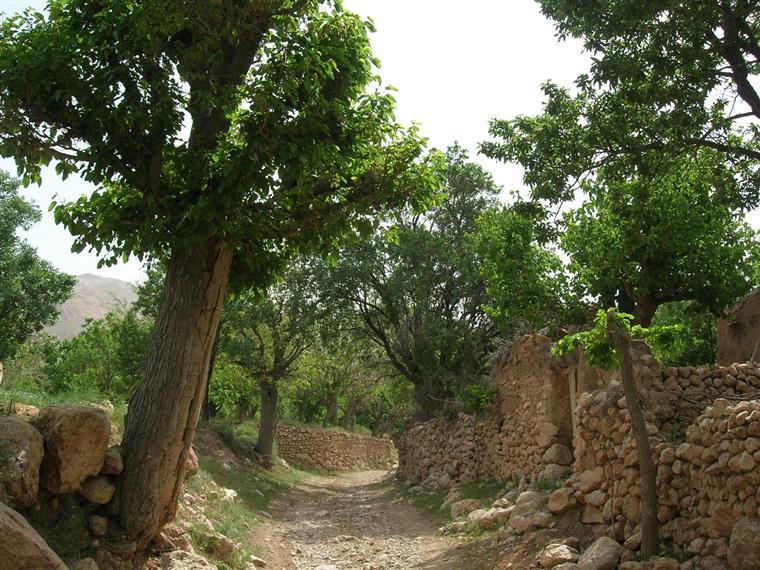 طبیعت کوهستانی روستای چرمه سرایان در مسیر غار بتون