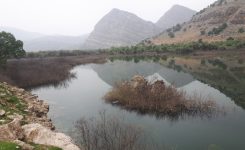 نمای پانوراما از تالاب شیمبار اندیکا خوزستان و کوهستان زردکوه