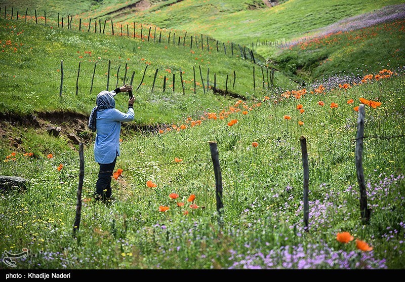 چراگاهها و دشتهای سرسبز مسیر کوهپیمایی نئور به سوباتان