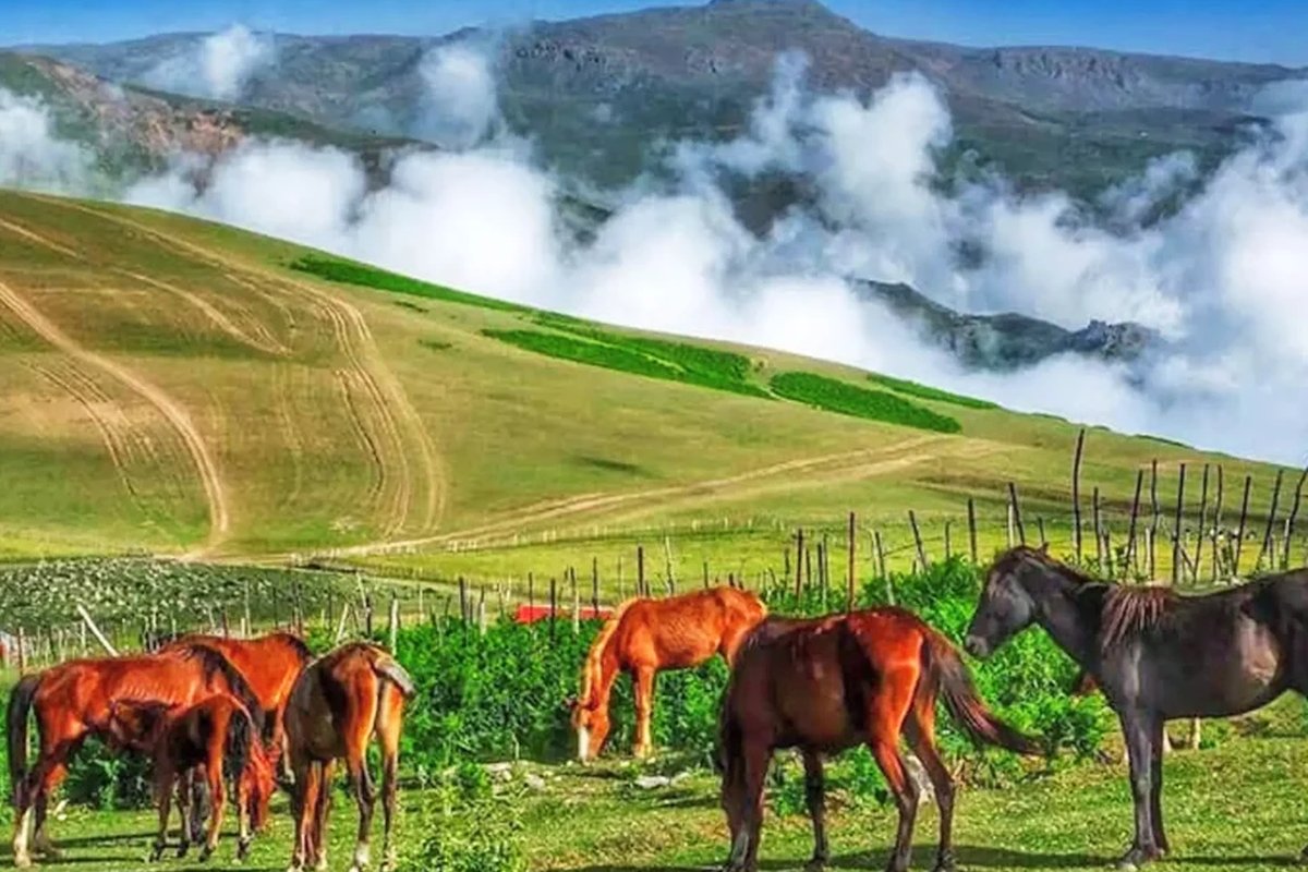 دشت های سرسبز و طبیعت بکر ییلاق سوباتان تالش در گیلان