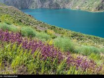 نمایی از پهنه آبی دریاچه کوهستانی در زاگرس