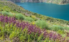 نمایی از پهنه آبی دریاچه کوهستانی در زاگرس