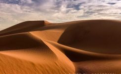 رملهای طلایی و تپههای ماسهای روان کویر ابوزیدآباد کاشان