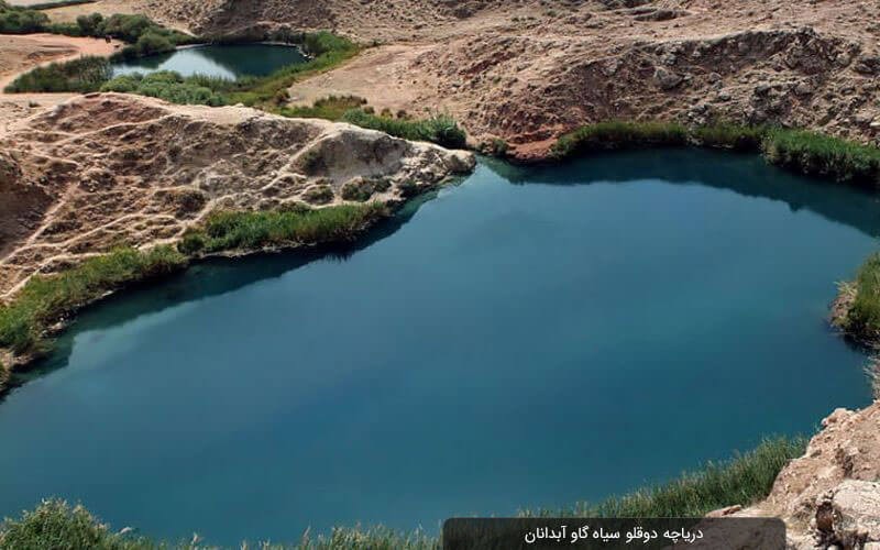 پوشش گیاهی، نیزارها و دشت‌های اطراف دریاچه دوقلو سیاه گاو در دامنه کبیرکوه ایلام