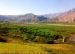 طبیعت سرسبز دشت سوسن ایذه و رود کارون